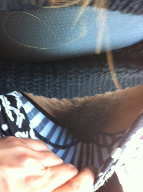 �ԓ��t�F���̎ʐ^